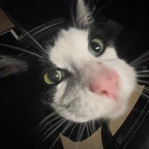 Meet your Posher, Kris